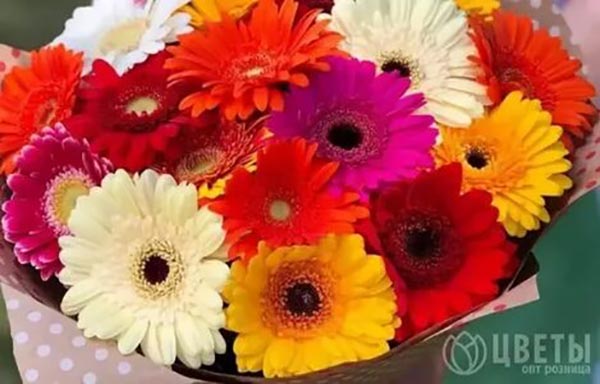 خرید زیباترین گل های دنیا