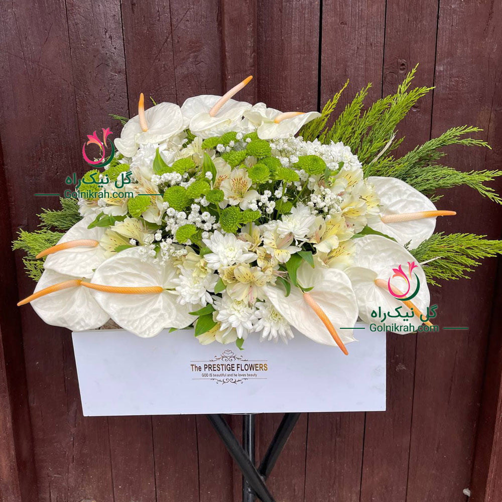 باکس گل آنتوریوم سفید