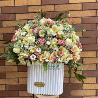 باکس گل رز مینیاتوری صورتی و آلستر