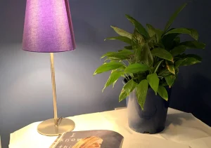 نور مصنوعی برای گیاهان