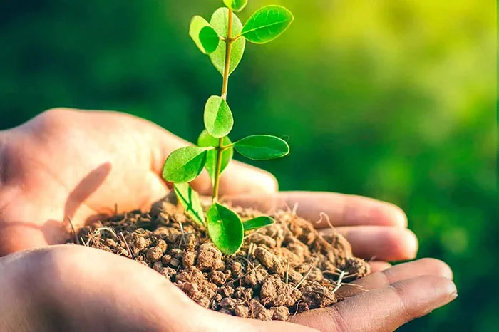 تفاوت کود شیمیایی و ارگانیک