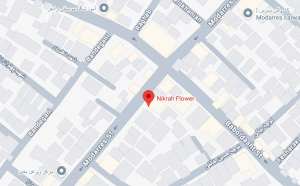 جانمایی گلفروشی نیکراه