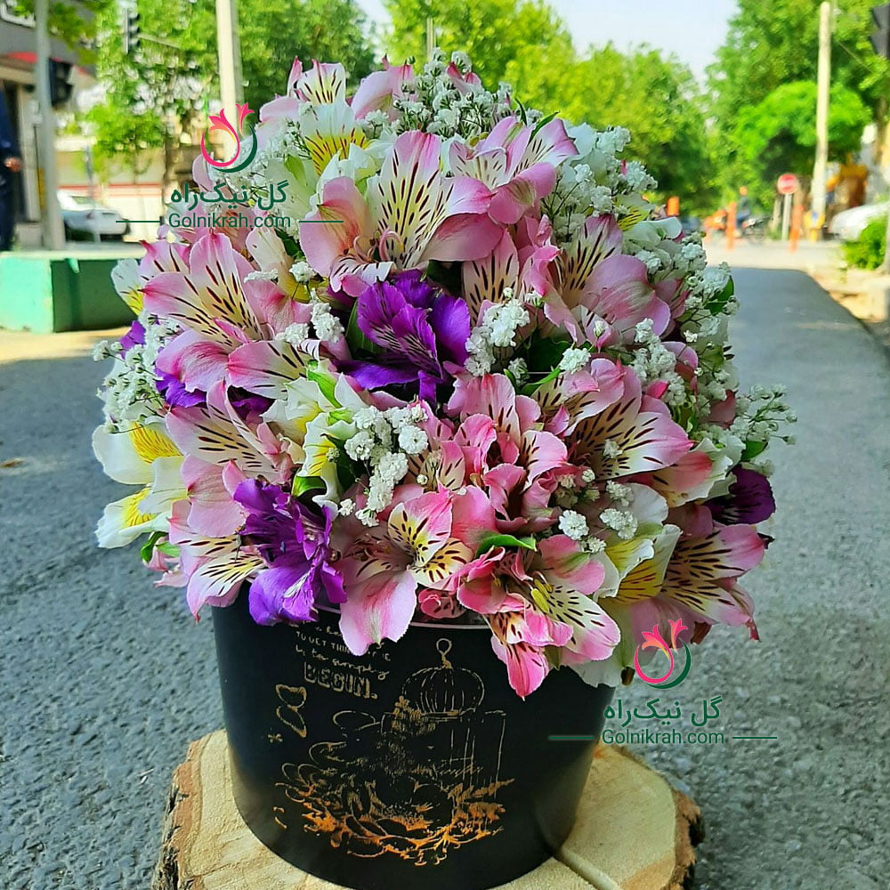 باکس گل آلستر و عروس