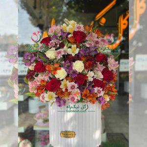 باکس گل رز و آلستر رنگارنگ