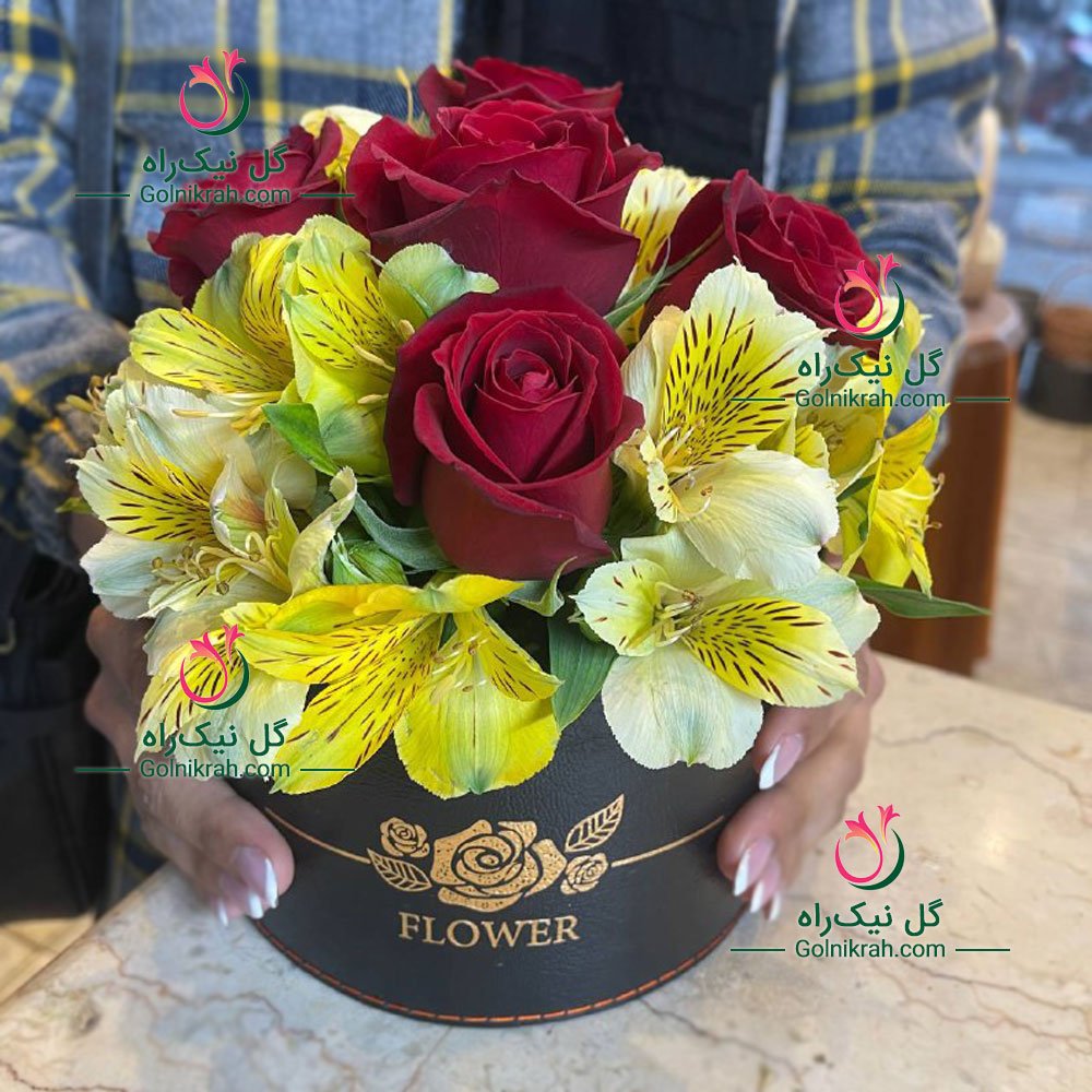 باکس رز قرمز و آلستر زرد